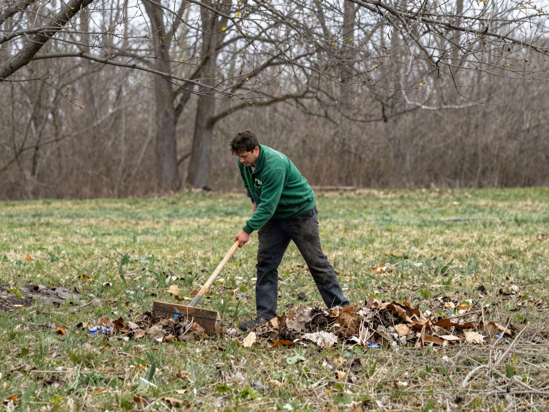 A worker raking winter debris off a lawn in early spring